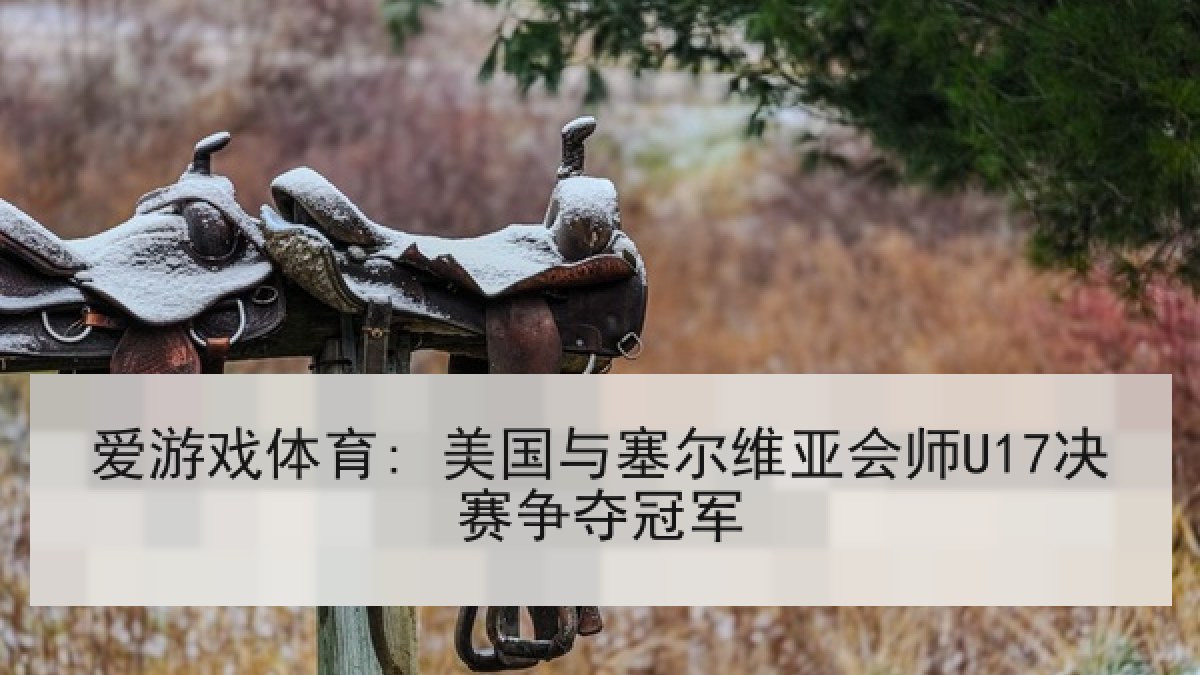 爱游戏体育: 美国与塞尔维亚会师U17决赛争夺冠军