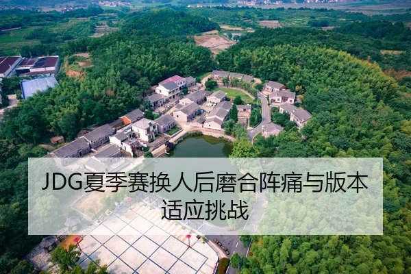 JDG夏季赛换人后磨合阵痛与版本适应挑战