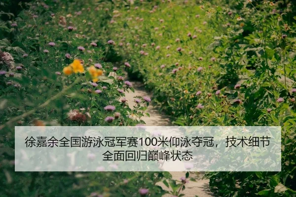 徐嘉余全国游泳冠军赛100米仰泳夺冠，技术细节全面回归巅峰状态